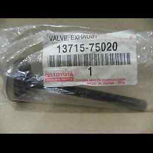 TOYOTA OEM Valve, Exhaust 13715-75020 Genuine